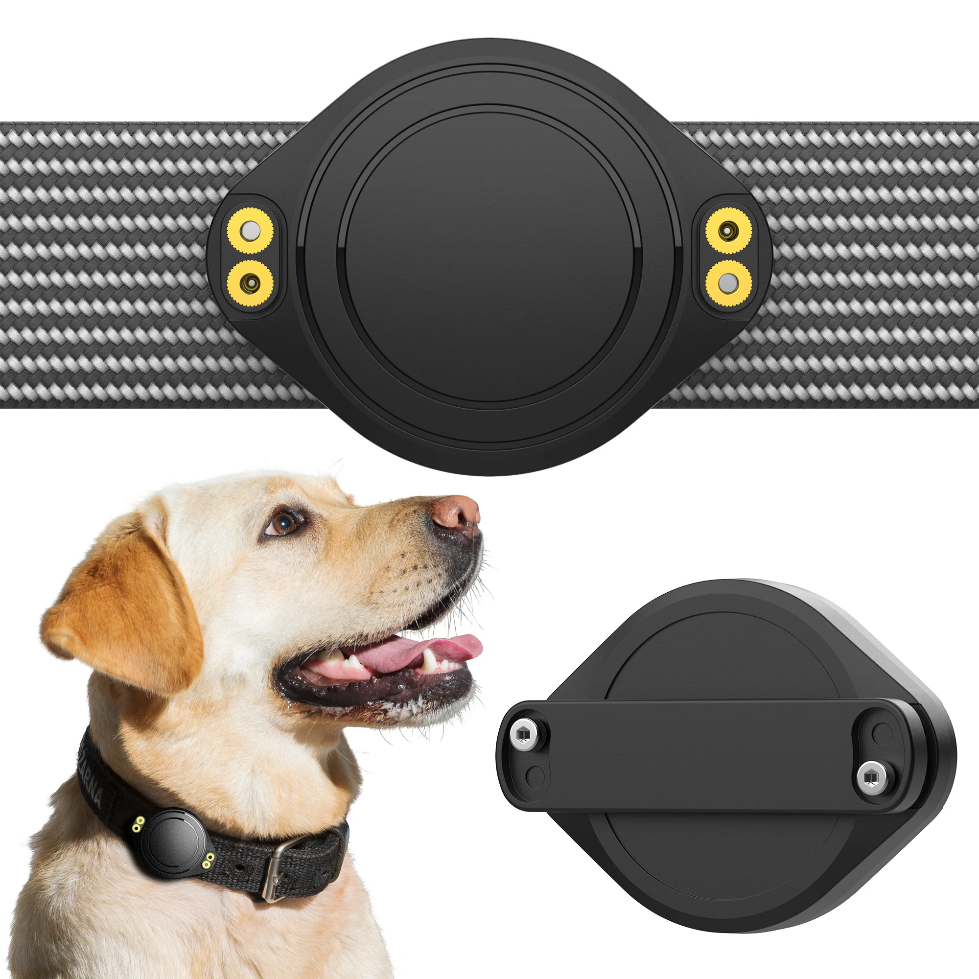 Apple Air Tag Collar Dog, Apple Airtag Collar Dogs