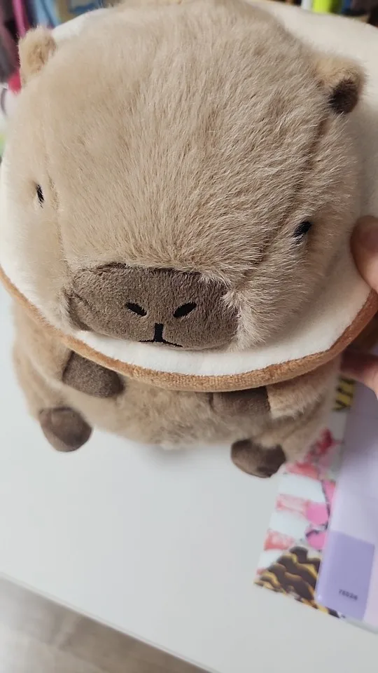 Kawaii Capybara Plushies - Bread & Flower Edition photo review