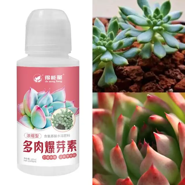 100 Ml Elősegíti A Növekedést Az Erős Gyökér Folyékony Növény Zamatos Műtrágya Kültéri Tápanyag -Életerő Folyadékgyökérekhez