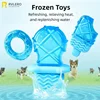 Dog Ice Stick Relieving Heat Cooling Pet Supplies Water Injection Tooth Grinding Toy Set Chew Puppy Outdoor Treat Training 1
