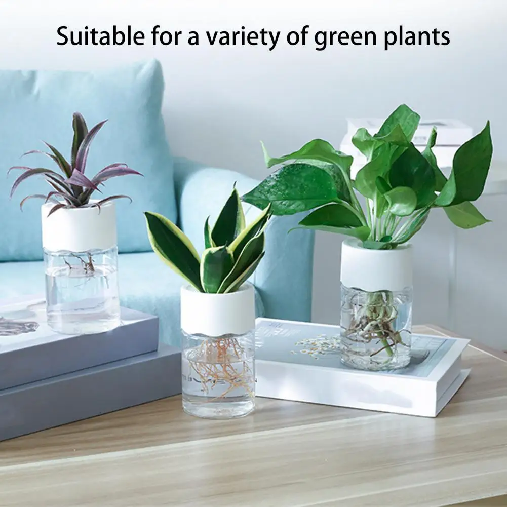 

Water Planting Flower Pot Succulent Vegetable Flower Nursery Pot Transparent Hydroponic Plant Pot Container Home Decoration