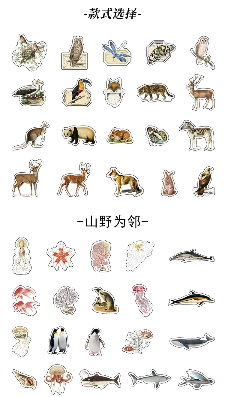 Journal GO 40pcs Natural Plants Animals Forest Stickers for Journaling Scrapbooking Decor Vintage Creative Sticker Stationery – Detail 4