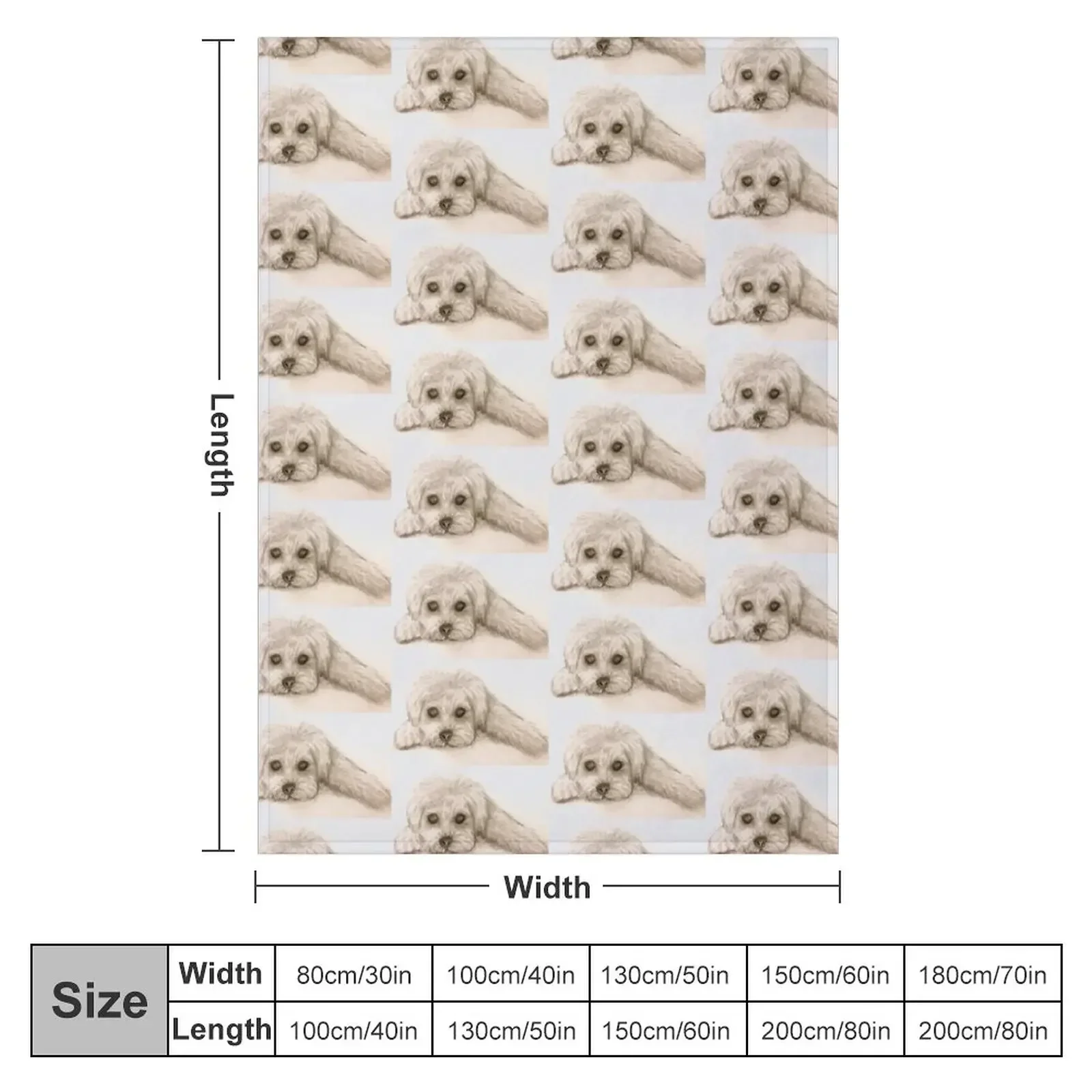 �� ���� �غ��� ���� ���, ���� ���� ������ ���