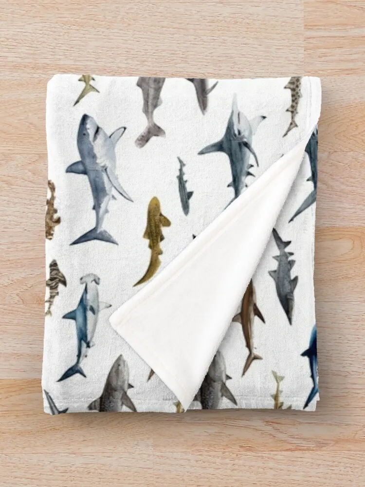 SHARKS ������ ��� ������ ���, ���� ��Ʈ, ���� ���, �ڽ����� �ִϸ��̼� ���, ���� ���