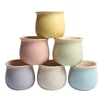 6 Colors Simple Pure Color Ceramic Planter Fleshy Plant Pot Flower Plant Vase Micro Landscape Home Garden Decoration