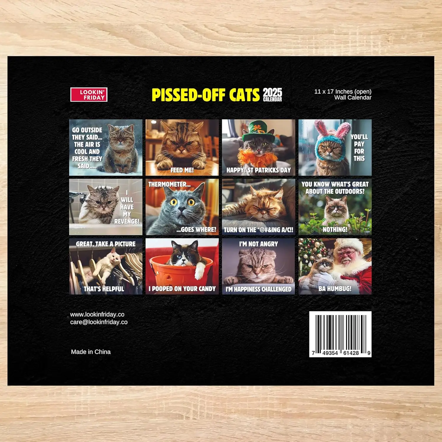 2025 Meme Calendar: The Hilarious, Relatable Wall Decor Every Cat Lover  Needs