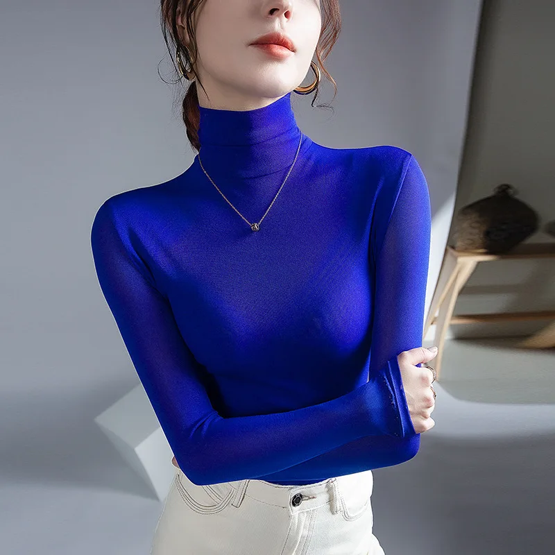 mesh top turtleneck