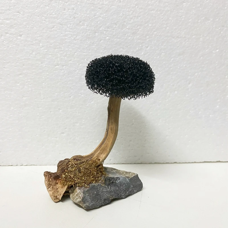 1 head