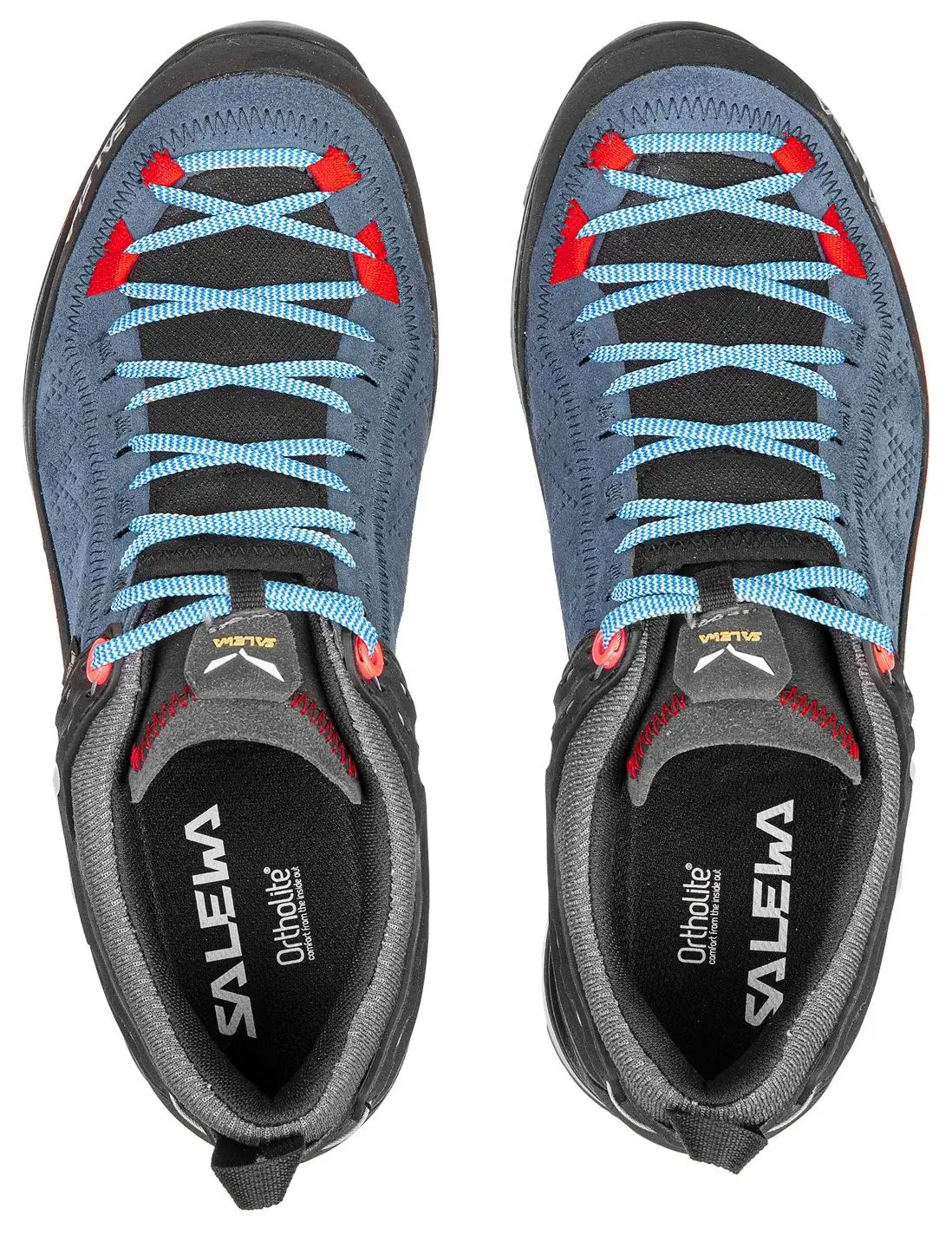 Salewa Mountain Trainer 2 Gore-Tex 