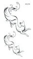 Image 24