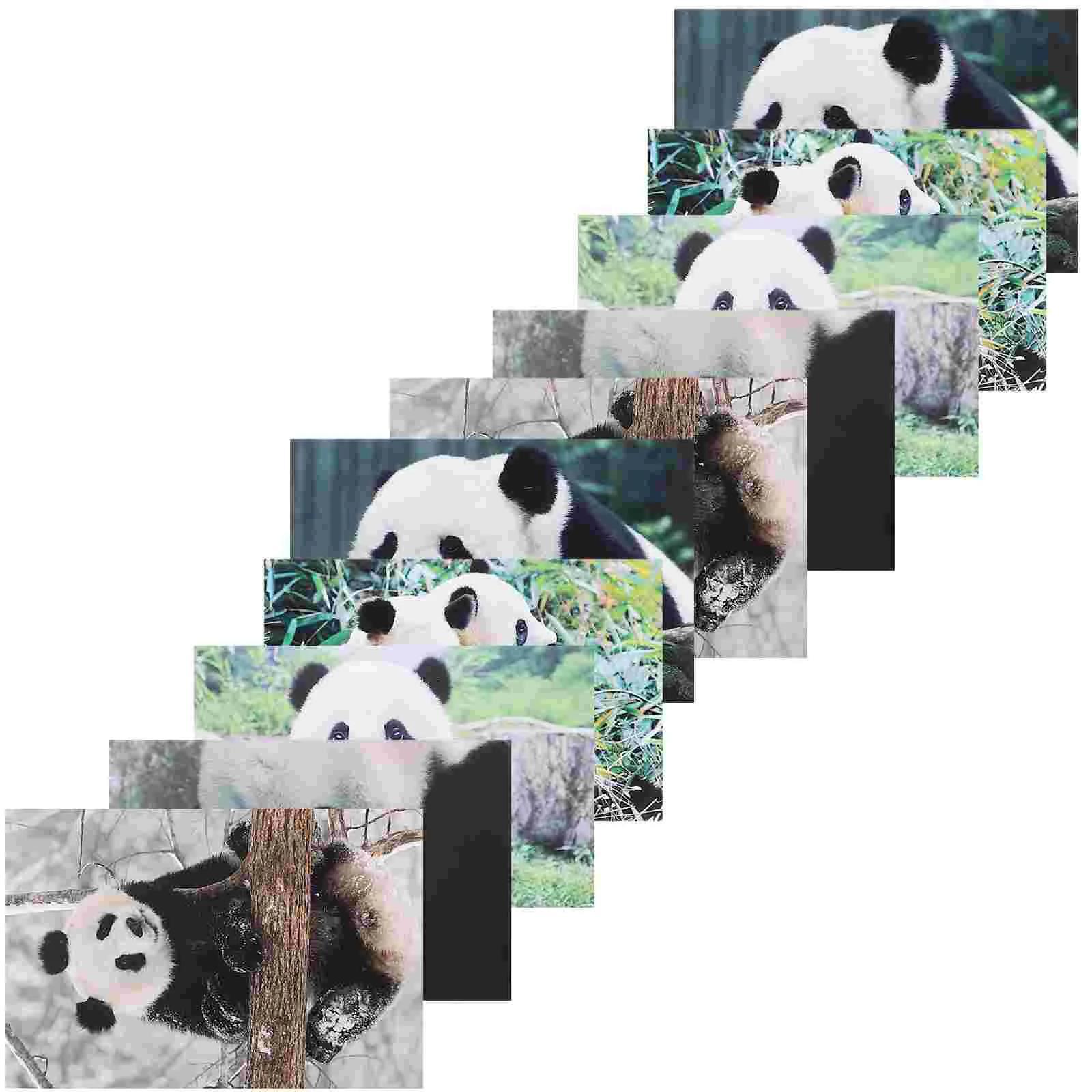 10pcs Adorable Pandas Postcards Animal Photography Series Postcard Great for Baby Showers Thanksgiving Gift