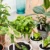 100pcs Plastic Plant Labels Reusable Garden Plants Marker Waterproof Plastic Nursery Plaques For Plants Tags Markers 