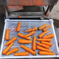 Best Selling Carrot Red Radish Potato Ginger Washing Peeling Machine Fruit And Vegetable Washer Wash Garlic Cleaning Machine 2