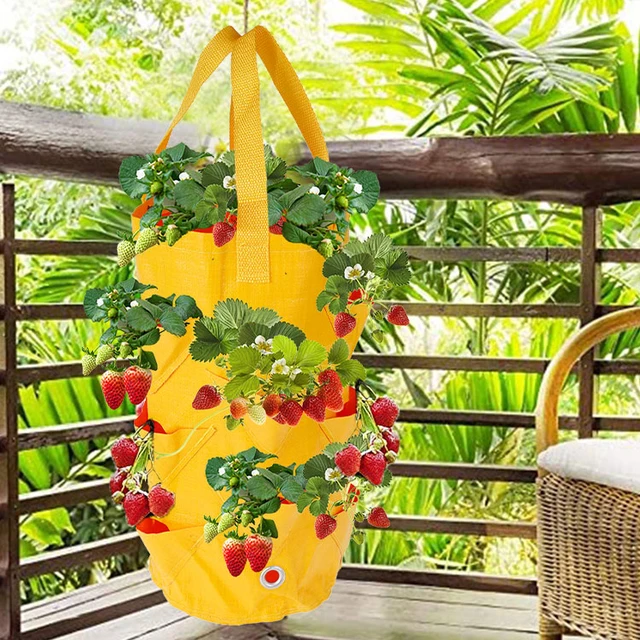 Eper Termesztés Táskák Pe Zöldség Ültetvényes Táska Diy Szövet Termesztett Edény Kültéri Kerti Edények Szerszámok Vegetáriánus Kellékek - Image 2