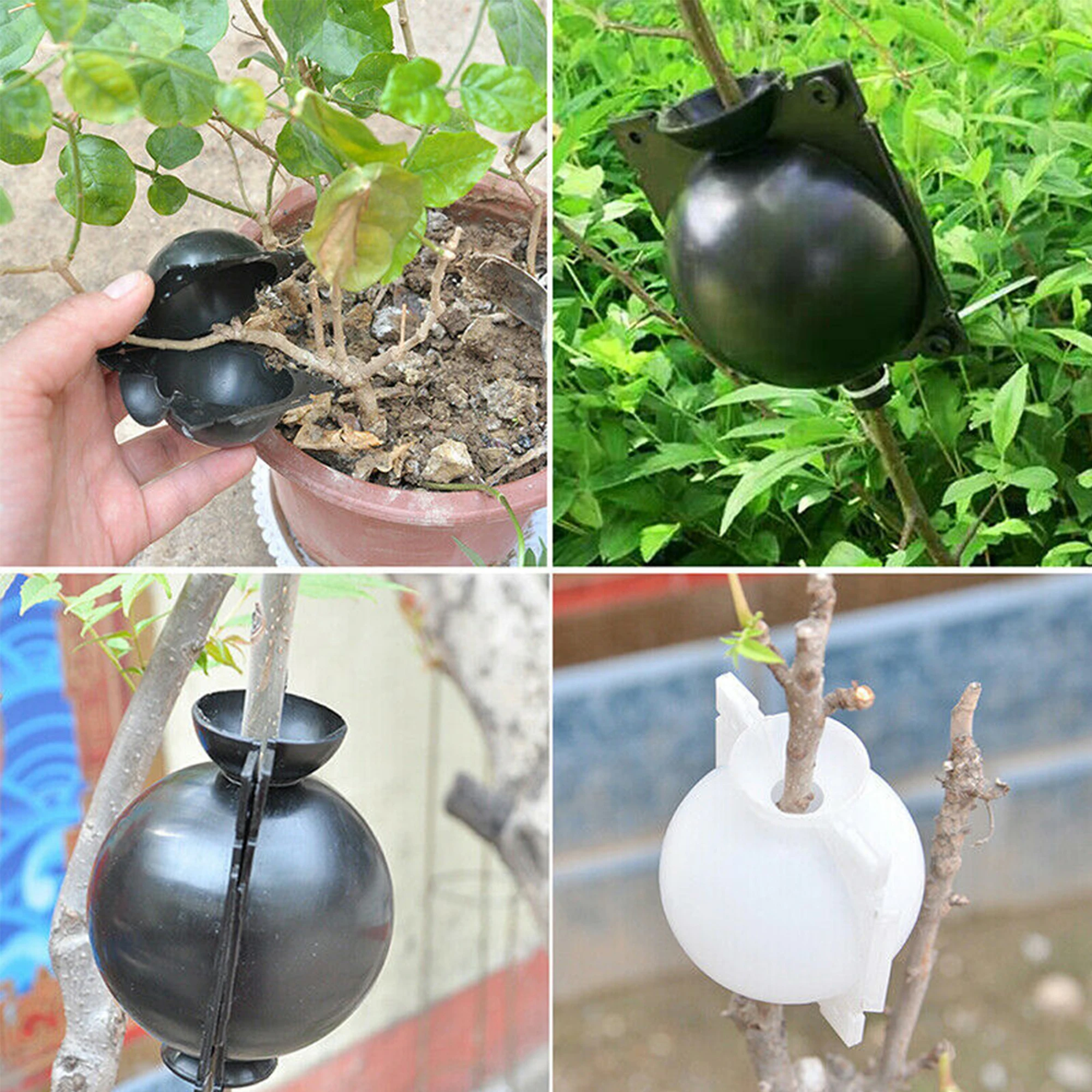 Plant Rooting Device, High-pressure Propagation Ball Grafting Box, Plant Root Ball Grafting, Transplanting Rooting Device