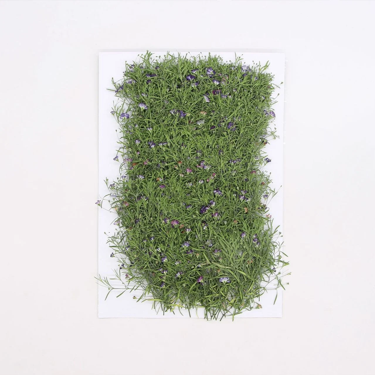 Рисунок 5 - цветочный гербарий для смолы