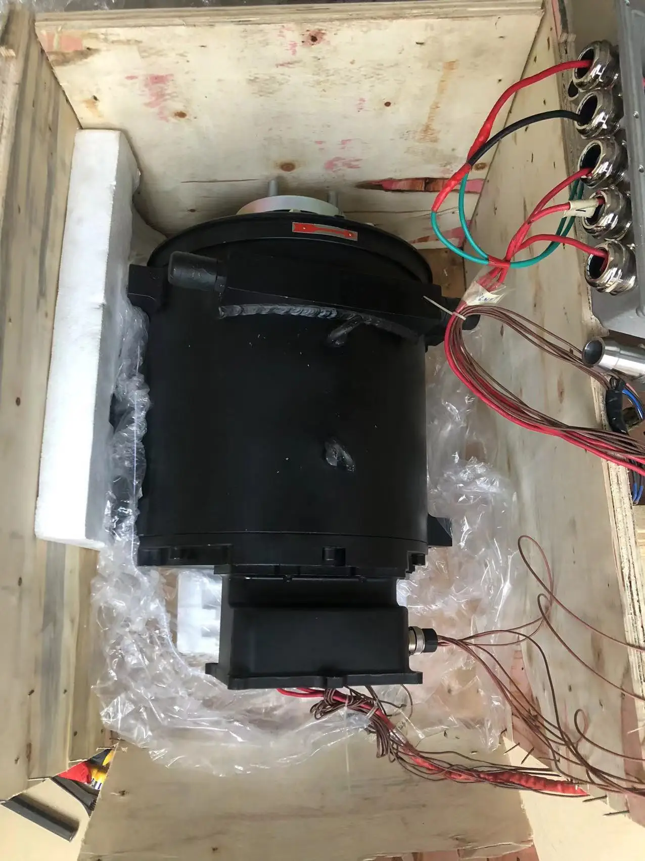 Рисунок 4 - Электрический мотор для лодки