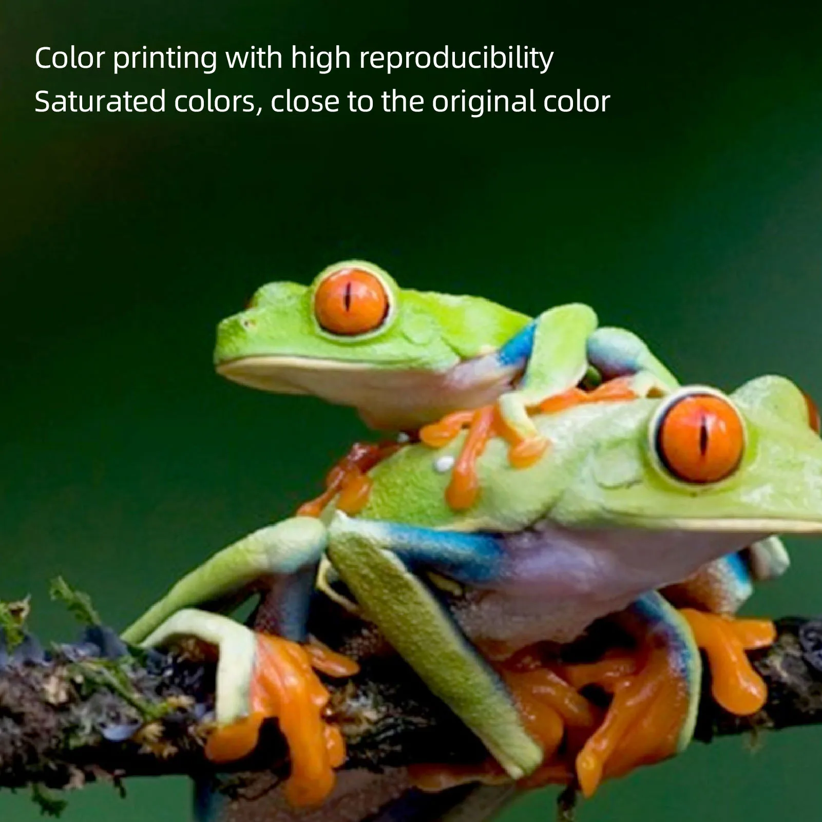 4PCS Ink Cartridge Black Blue Red Yellow LC462XL Printer Ink Cartridge Replacement for MFC-J2340DW J3540DW J3940 Printer