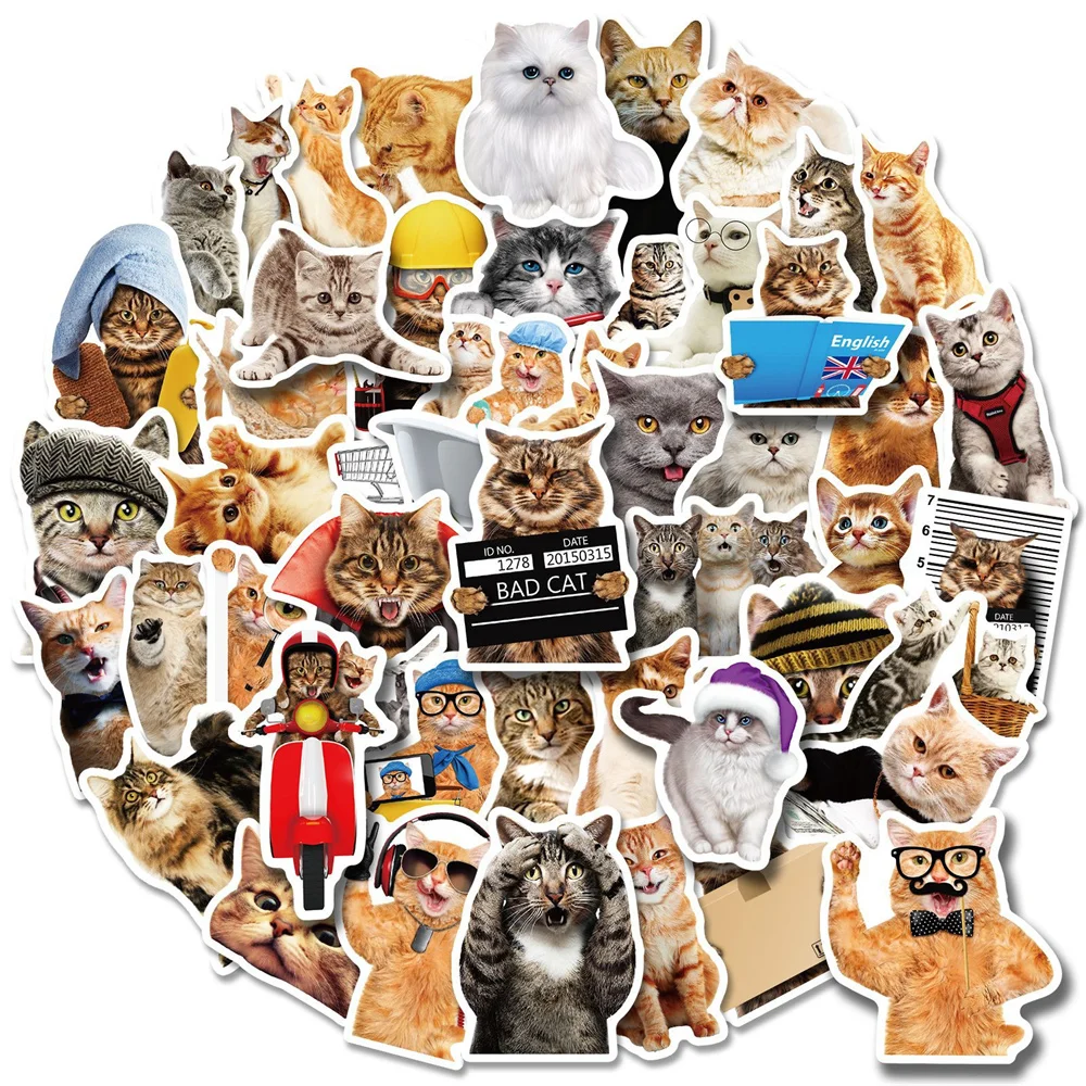 

10/30/50PCS Cute Funny Cat Graffiti Delicate Stickers Diary Scrapbook Luggage Helmet Refrigerator PVC Cartoon Stickers Wholesale