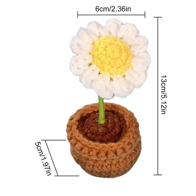 daisy potted plant