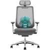Ergonomic Mesh Office Chair, High Back Computer Executive Desk Chair with Adjustable Headrest and 4D Arms, Slide Seat 1