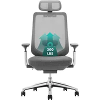 Ergonomic Mesh Office Chair, High Back Computer Executive Desk Chair with Adjustable Headrest and 4D Arms, Slide Seat 1