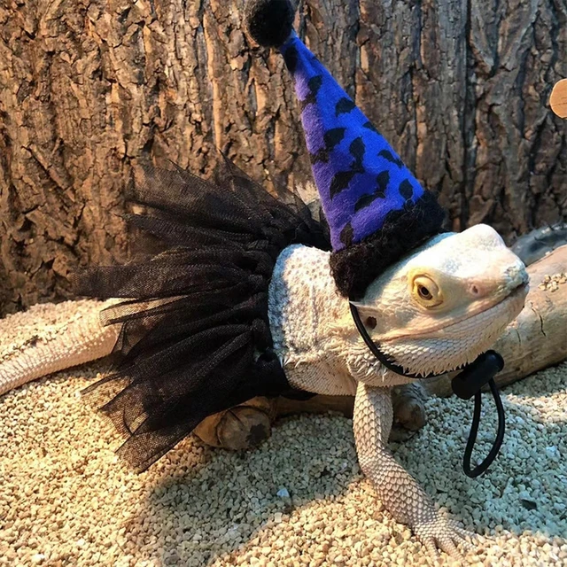 Bearded Dragon Lizard Halloween Hat Cloak Costume Set Clothes Outfit  accessory