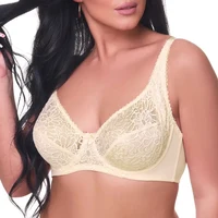 Plus Size Bras For Womens Lace Sexy Bra Perspective Underwire Female Lingerie BH Tops C D DD E F Cup - Image 4