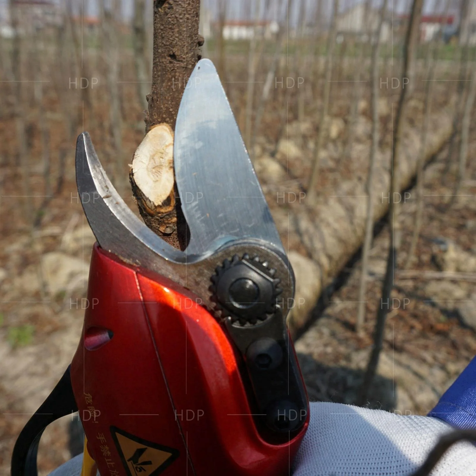 

Electric secateurs pruner electric pruning shears excellent garden tools