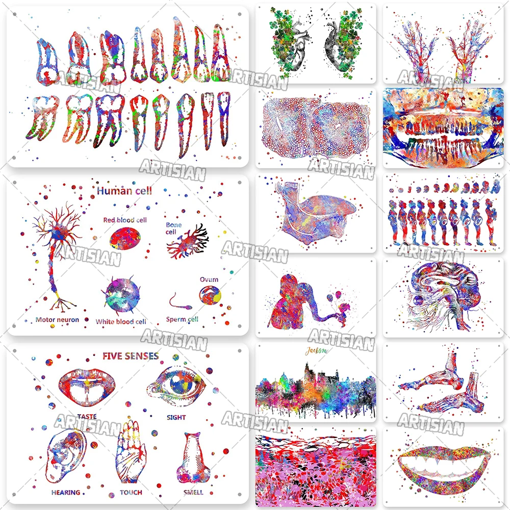 

Артизийская Медицинская Металлическая Табличка, больничный жестяной знак, декоративная пластина для клиники, стоматосит, анатомия, Настенный декор для гаража, бара, паба, клуба