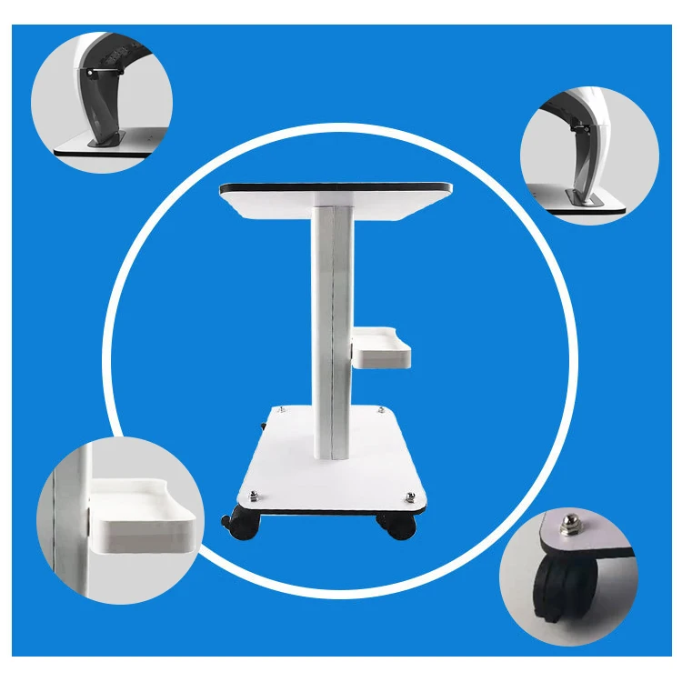 Beauty SPA Equipment Salon Big Table Trolley Cart Storage Stand Rolling Salon Machine Organizer