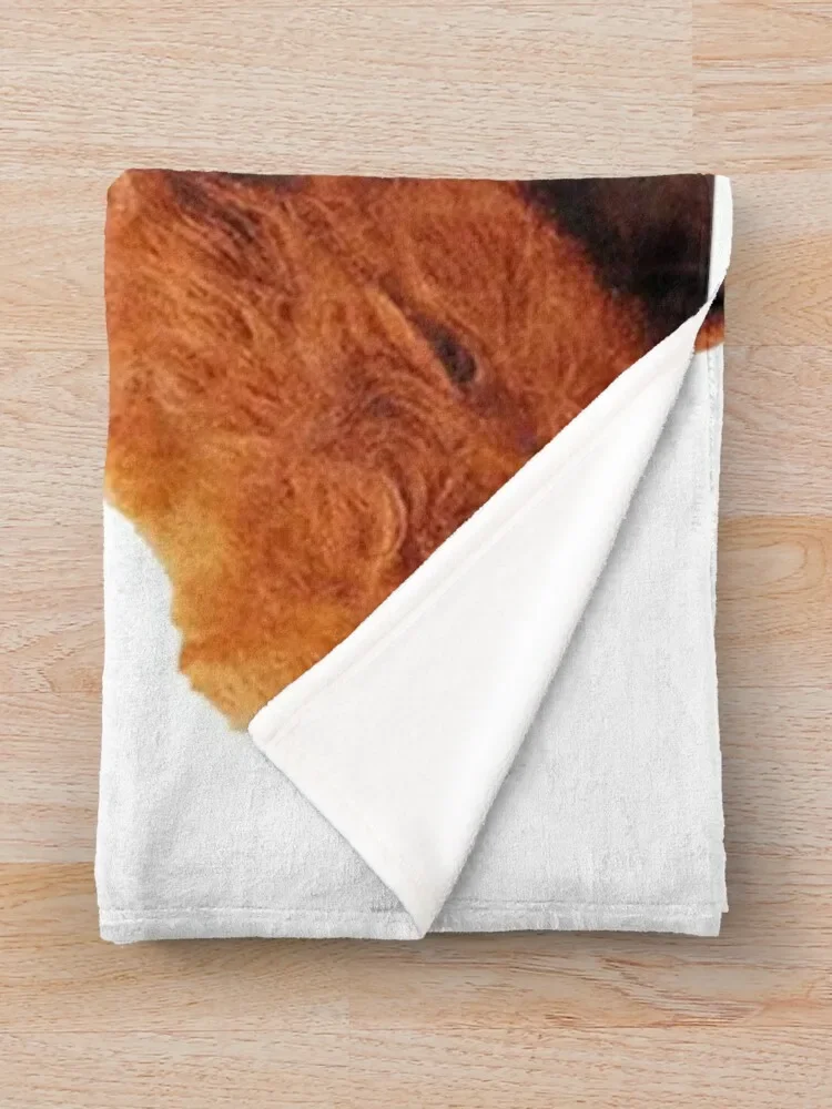 Alf Throw ���, �ε巯�� ���� ����, �̺� ���, ������