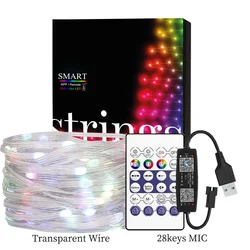 Dream Color RGBIC LED String Lights, 5M-20M, Waterproof, for Outdoor Parties and Christmas Celebrations (Transparent USB set)