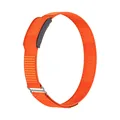 E Bicep Band  40cm