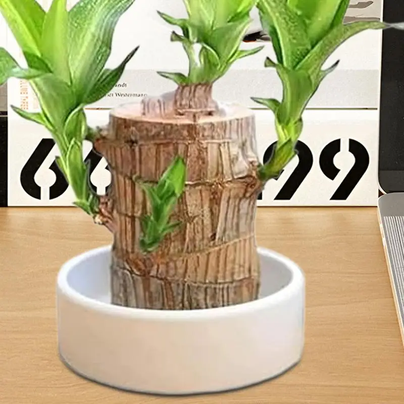 thumbnail image 2 of Holloyiver Brazilian Wood Pallet White Ceramic Saucer, Office Desk Decorations Plant Pot Base Jewelry Tray, Office Decor Brazilian Wood Ceramic Tray Decor Tray The Dish Ceramics Flowerpot 4 4i 2 of 9