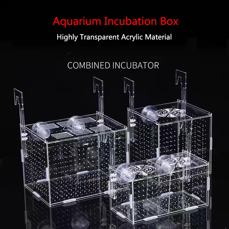 Acrylic Transparent Ornamental Betta Fish Isolation Boxes Wall-mounted Adsorption Incubator box Aquarium Breeding Fish Tank fish breeding box