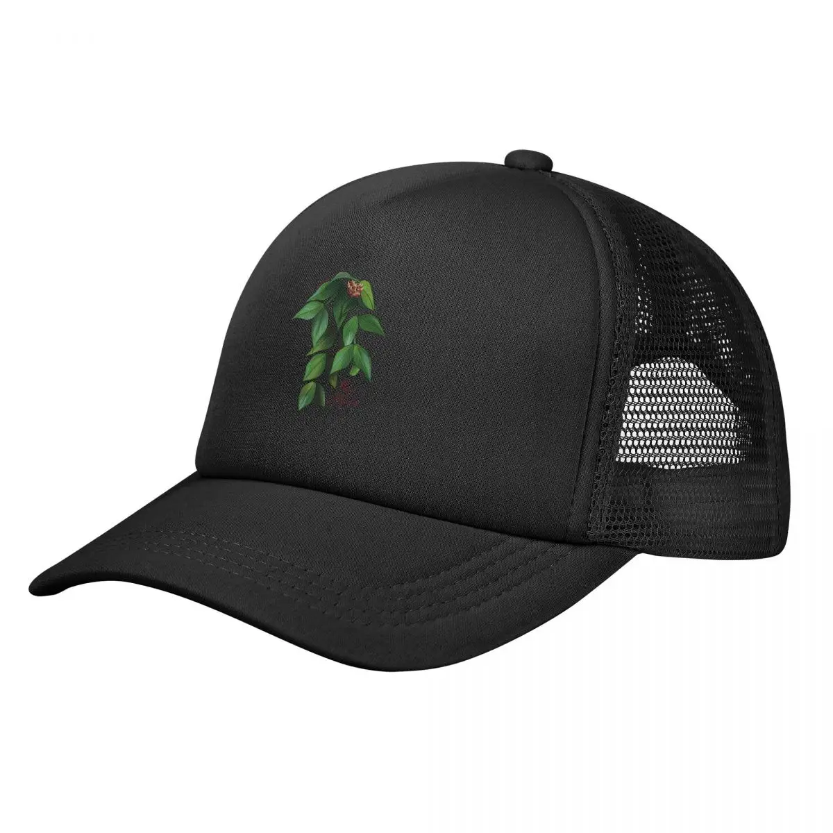 

Hoya polyneurain bloom Baseball Cap Big Size Hat funny hat Elegant Women's Hats Men's