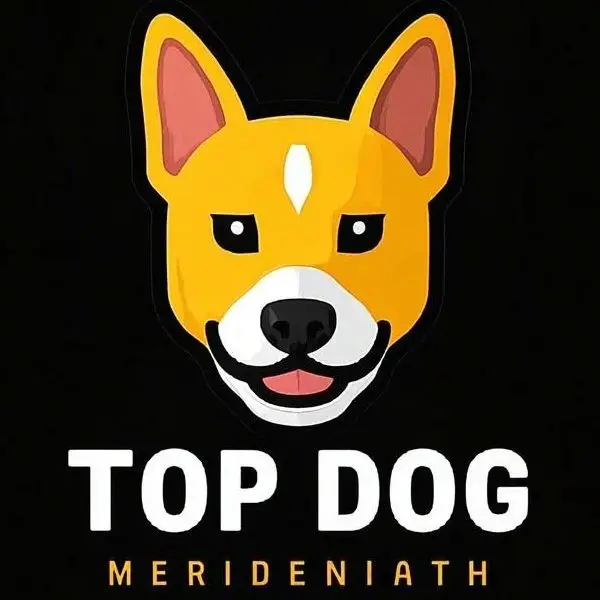 Top Dog Store
