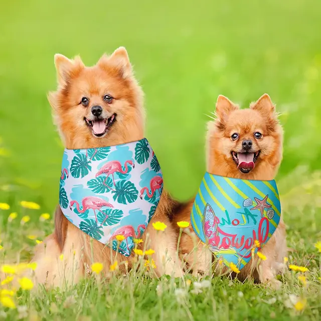 Bandana chien en forme de Triangle pour chien, écharpe de noël, le jour de l'indépendance – Image 5