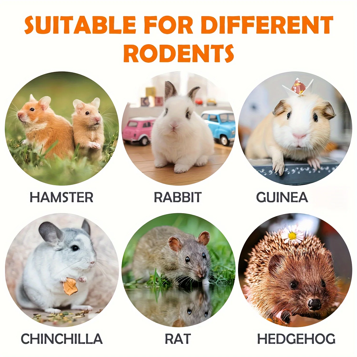Timothy Hay Treats Rabbit Toys Natural Treats for Guinea Pig Bunny Hamster Chinchilla Rat Handmade Rabbit Chews for Teeth 18pcs pet tooth grinding snacks,pet chew toys,pet teeth grinding toy,pet toys,hamster toy
