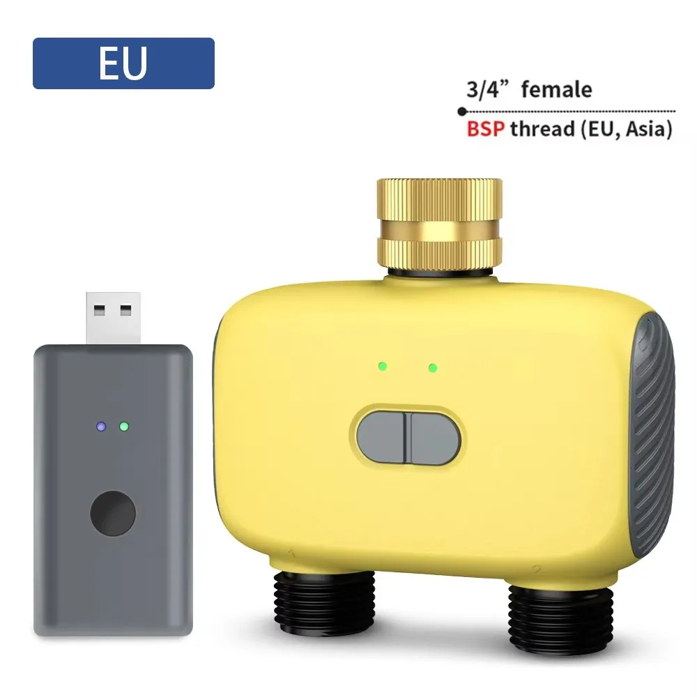 EU BSP with gateway
