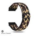 Brown Cheetah