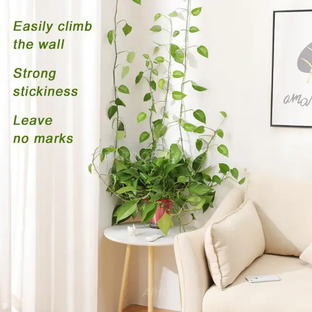 10Db Csigafal Rattan Szorító Klip Virággyár Tartó Mászó Fal Rögzítő Fali Szőlő Hegymászó Ragadós Horog Rögzített - Image 2