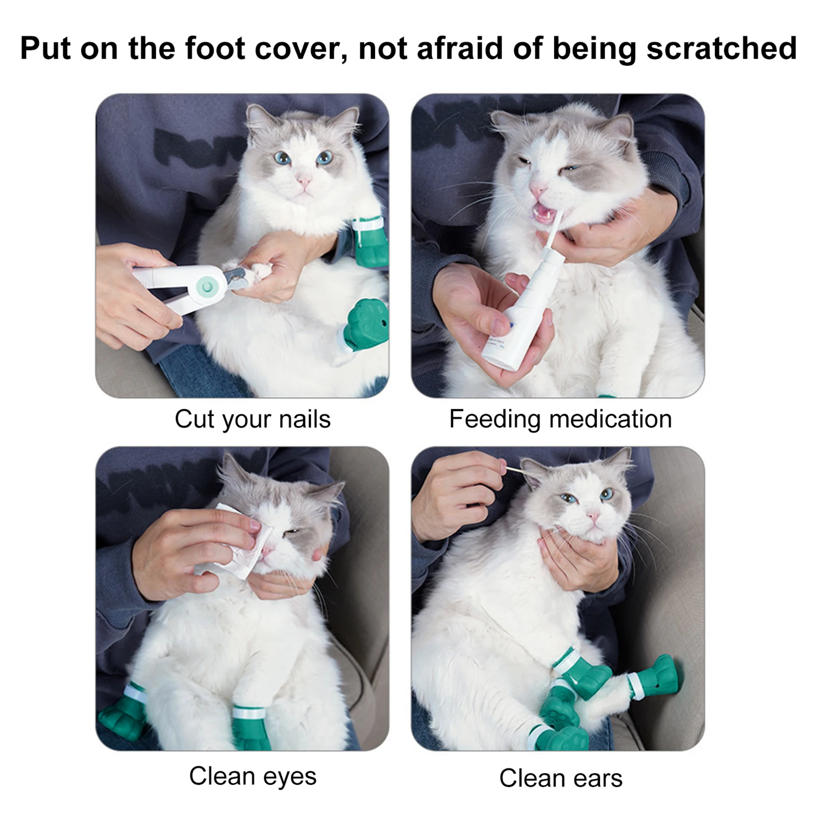 Trimming Cats' Claws: a Step-by-Step Guide
