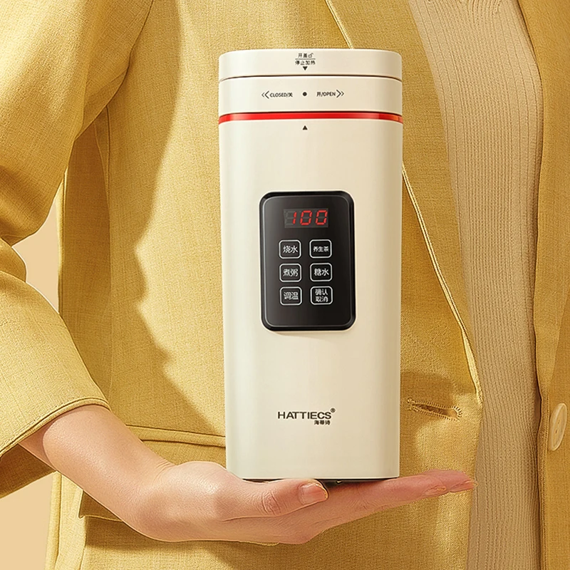 500mlElectricKettleMultifunctionalHealthPotPortableTravelBoiled