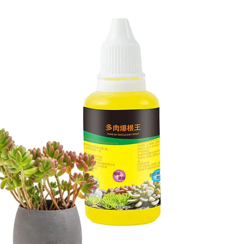 

50 мл удобрение для суккулентов комнатное растение корм для кактуса нефрит кактуса и алоэ жидкое удобрение для комнатных растений Комнатное растение корм для кактуса