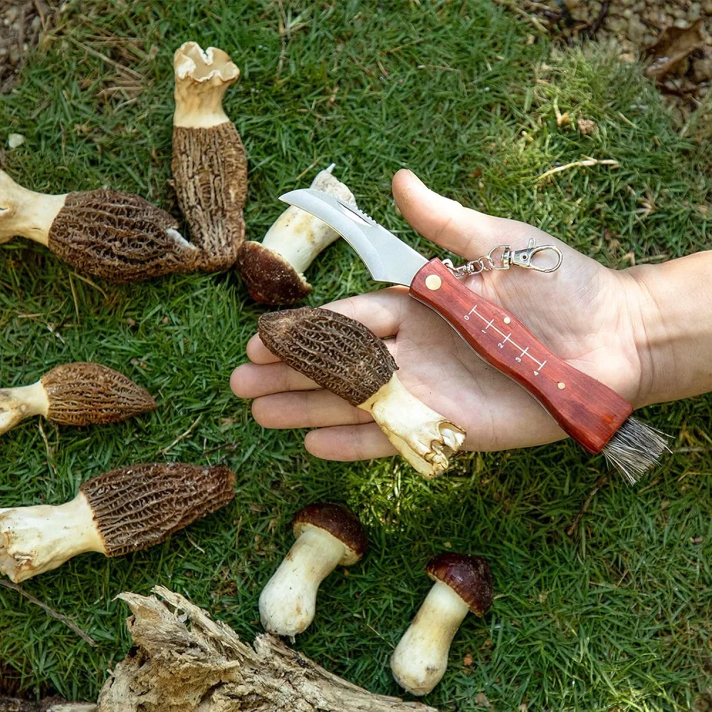 Folding Knife Grady Fung Mushroom Rosewood Body Stainlees Steel Blade for EDC Camping BBQ