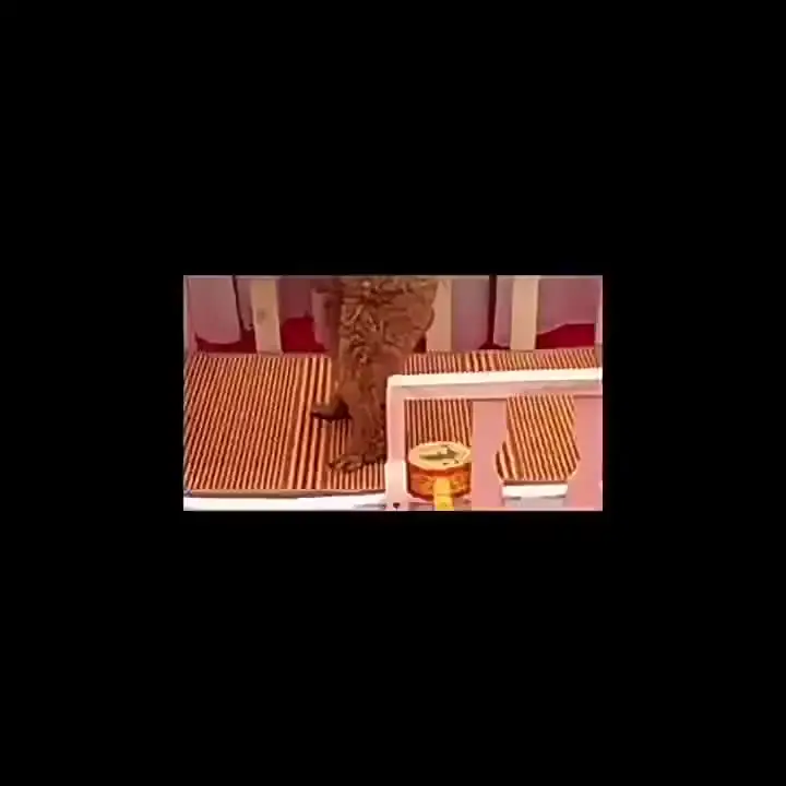 Питомник для домашних животных кошачий туалет размер кровати маленькая кровать