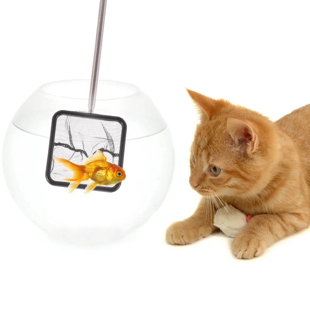 Acquario Fish Net Tank Manico Telescopico In Acciaio Inossidabile Fish Mesh Asta Pieghevole Estensibile Lunga Per Betta Aquarium Pond Supplies