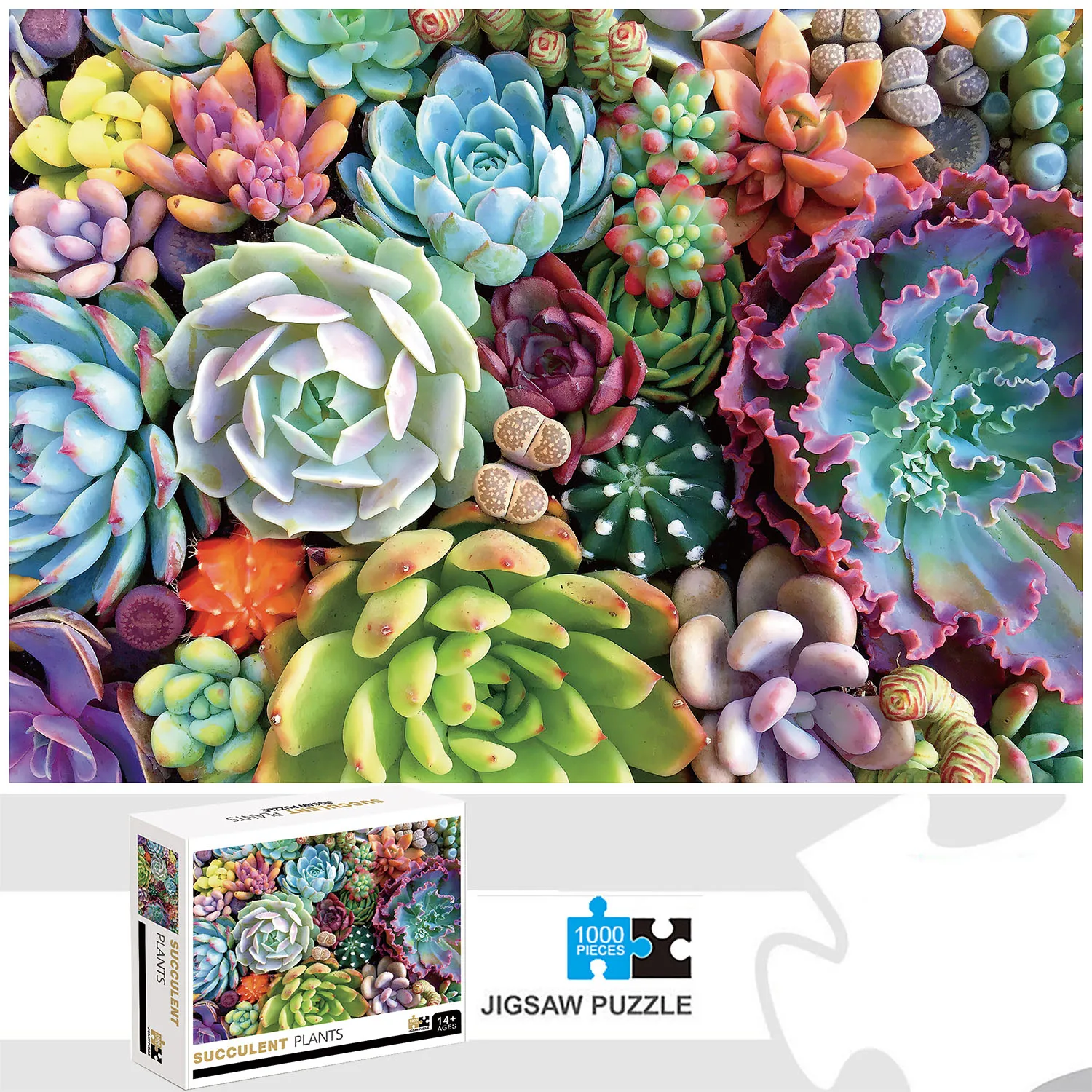 Succulent Plants Jigsaw Puzzle 1000 Pieces Home Decor Adults Kids Games, wooden jigsaw puzzles,jigsaw puzzles,mini jigsaw puzzle,educational puzzles,paper puzzle toys